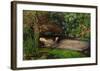 Ophelia, ca. 1851-John Everett Millais-Framed Art Print