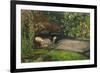 Ophelia-John Everett Millais-Framed Giclee Print