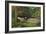 Ophelia-John Everett Millais-Framed Giclee Print