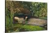 Ophelia-John Everett Millais-Stretched Canvas