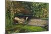 Ophelia-John Everett Millais-Mounted Giclee Print