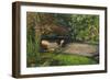 Ophelia-John Everett Millais-Framed Premium Giclee Print