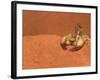 Opistophthalmus Wahlbergii Scorpion, Tswalu Kalahari Game Reserve, Northern Cape, South Africa-Ann & Steve Toon-Framed Photographic Print