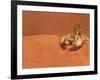 Opistophthalmus Wahlbergii Scorpion, Tswalu Kalahari Game Reserve, Northern Cape, South Africa-Ann & Steve Toon-Framed Photographic Print