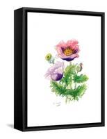 Opium Poppy, 2001-Nell Hill-Framed Stretched Canvas