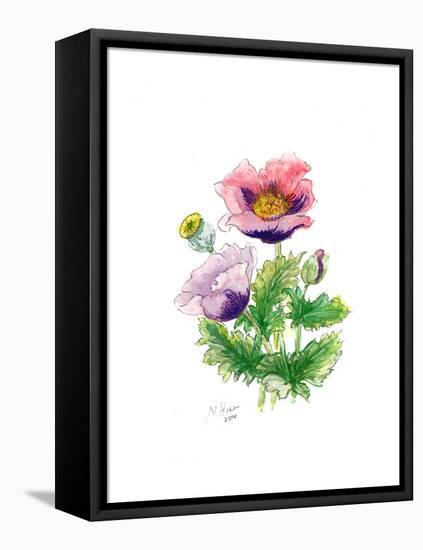 Opium Poppy, 2001-Nell Hill-Framed Stretched Canvas