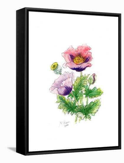 Opium Poppy, 2001-Nell Hill-Framed Stretched Canvas