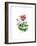 Opium Poppy, 2001-Nell Hill-Framed Giclee Print