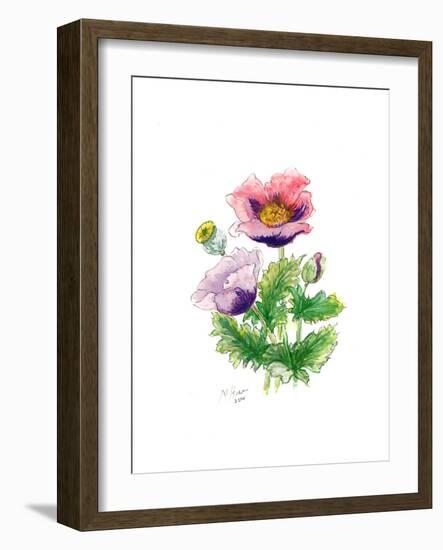 Opium Poppy, 2001-Nell Hill-Framed Giclee Print