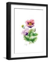 Opium Poppy, 2001-Nell Hill-Framed Giclee Print