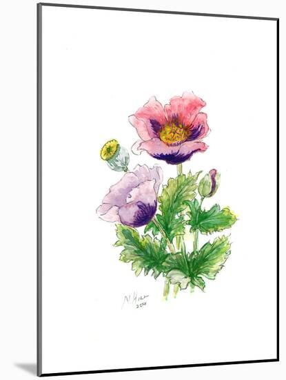 Opium Poppy, 2001-Nell Hill-Mounted Giclee Print