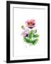 Opium Poppy, 2001-Nell Hill-Framed Giclee Print