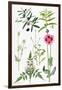 Opium Poppy and Other Plants-Elizabeth Rice-Framed Giclee Print