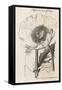 Opium Poppy Papaver Somniferum-null-Framed Stretched Canvas