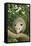 Opossum in Tree-DLILLC-Framed Stretched Canvas