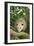 Opossum in Tree-DLILLC-Framed Premium Photographic Print