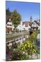 Oppenau, Black Forest, Baden Wurttemberg, Germany, Europe-Markus-Mounted Photographic Print