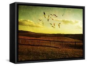 Opportunity Fleeting 2-Christy Ann-Framed Stretched Canvas