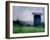 Opportunity Taken-Doug Chinnery-Framed Photographic Print