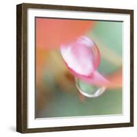 Opposites Attract-Jacob Berghoef-Framed Photographic Print