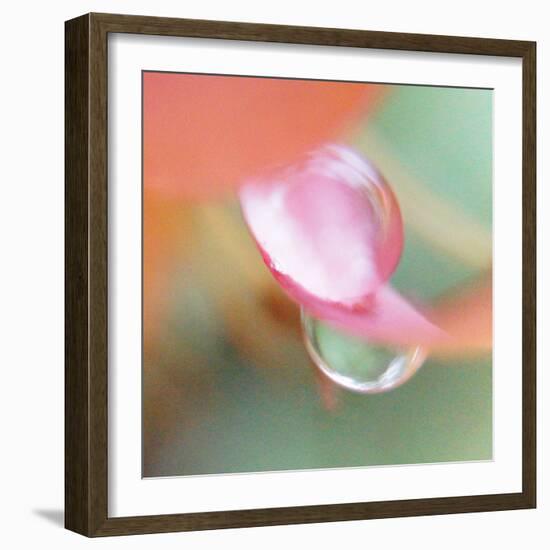 Opposites Attract-Jacob Berghoef-Framed Photographic Print