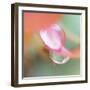 Opposites Attract-Jacob Berghoef-Framed Photographic Print