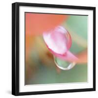 Opposites Attract-Jacob Berghoef-Framed Photographic Print