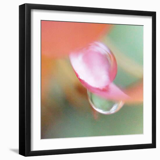 Opposites Attract-Jacob Berghoef-Framed Photographic Print