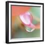 Opposites Attract-Jacob Berghoef-Framed Photographic Print