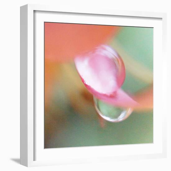 Opposites Attract-Jacob Berghoef-Framed Photographic Print