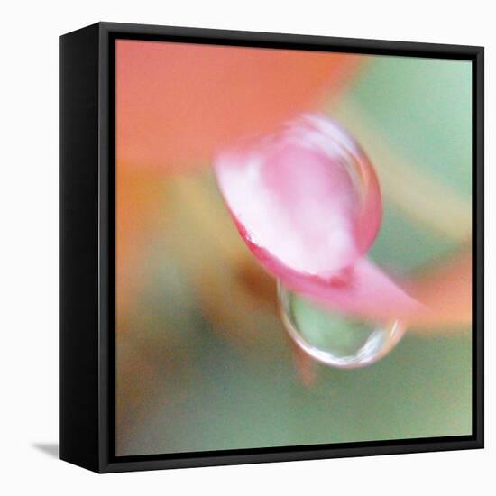 Opposites Attract-Jacob Berghoef-Framed Stretched Canvas