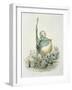 Opposites Attract-Amedee Varin-Framed Giclee Print