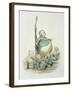 Opposites Attract-Amedee Varin-Framed Giclee Print