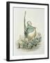 Opposites Attract-Amedee Varin-Framed Giclee Print