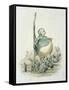 Opposites Attract-Amedee Varin-Framed Stretched Canvas
