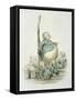 Opposites Attract-Amedee Varin-Framed Stretched Canvas