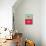 Opposites Typography-null-Stretched Canvas displayed on a wall