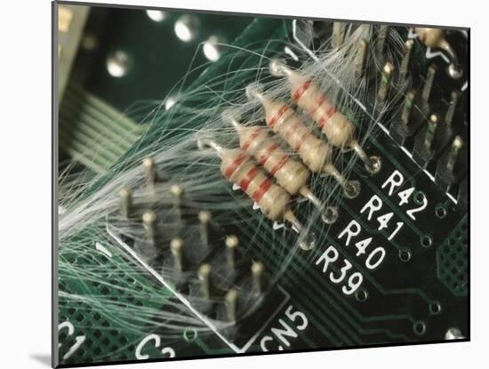 Optic Wires in Computer Processor-null-Mounted Photographic Print