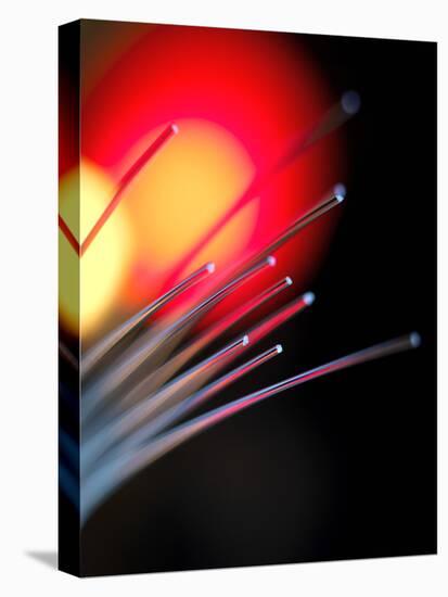Optical Fibres-Tek Image-Stretched Canvas