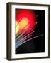 Optical Fibres-Tek Image-Framed Photographic Print