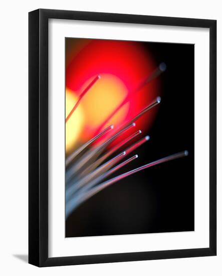 Optical Fibres-Tek Image-Framed Photographic Print