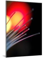 Optical Fibres-Tek Image-Mounted Photographic Print