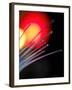 Optical Fibres-Tek Image-Framed Photographic Print