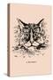 Optical Illusion Puzzle: Cat and Butterfly-null-Stretched Canvas