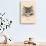 Optical Illusion Puzzle: Cat and Butterfly-null-Art Print displayed on a wall