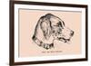 Optical Illusion Puzzle: Find the Dog's Master-null-Framed Art Print