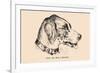 Optical Illusion Puzzle: Find the Dog's Master-null-Framed Art Print