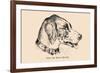 Optical Illusion Puzzle: Find the Dog's Master-null-Framed Art Print