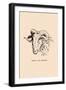 Optical Illusion Puzzle: Sheep and Shepherd-null-Framed Art Print