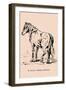 Optical Illusion Puzzle: St. Julian and Wild Bill Hickcock-null-Framed Art Print